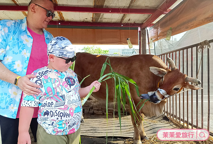 嘉威國際旅行社．忘憂旅行．私人訂制保姆車旅遊團隊